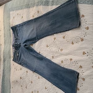 Gap 1969 Perfect Boot 33/16r